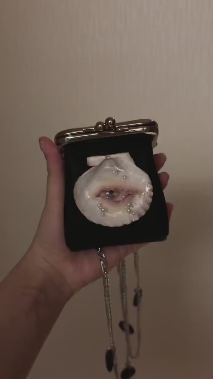 Oyster Eye Mini Crossbody Bag — product video