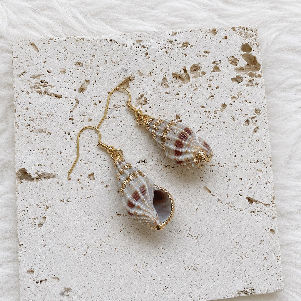 Pair of striped conch-shell earrings with pale beads above the shell drops.