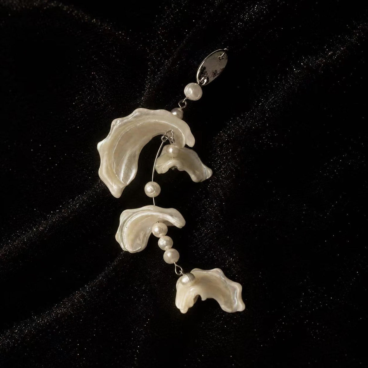 Single shell-fragment earring with three pale curved sections on black velvet.