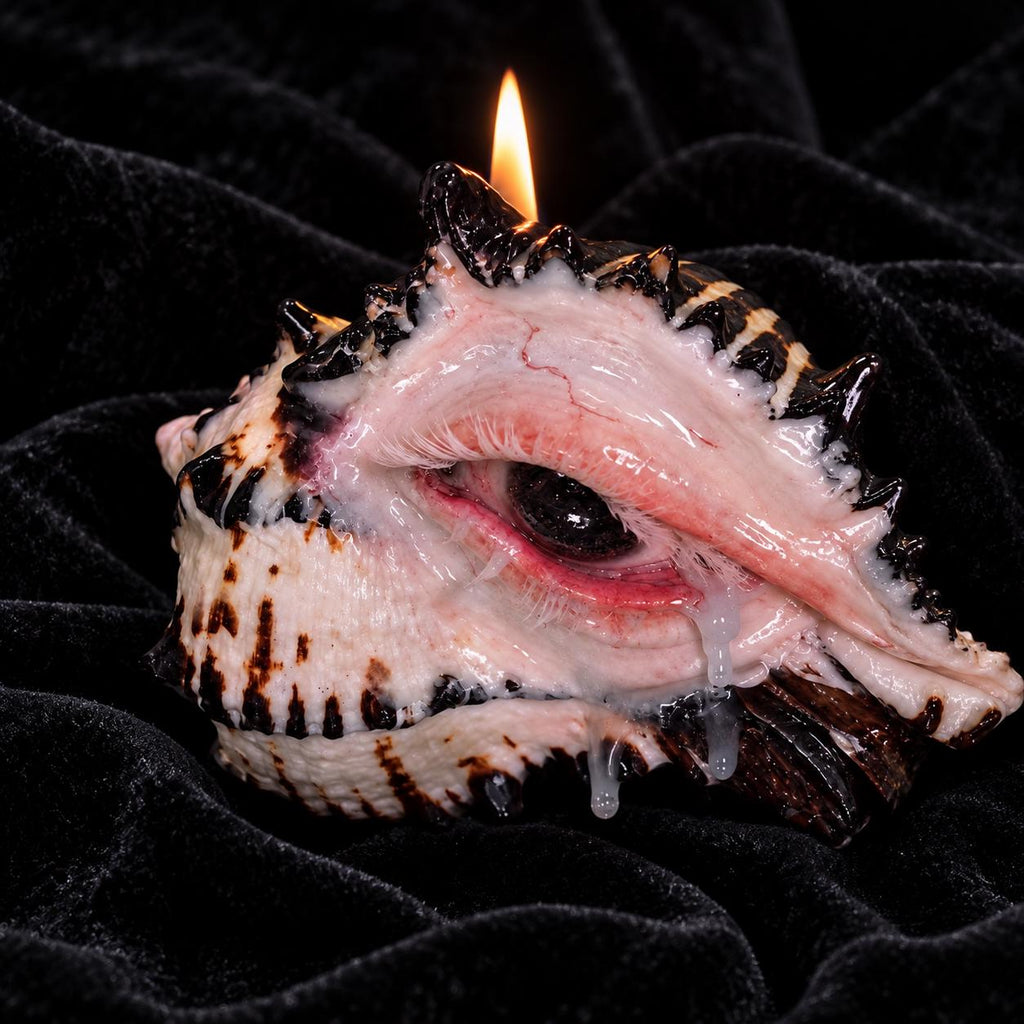 Mourning Tide pink-eye shell candle holder on black velvet with a lit candle.