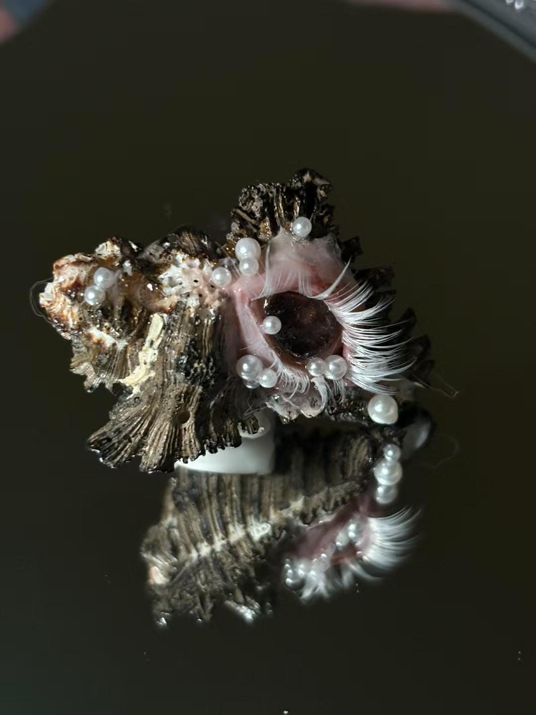 Dark shell-eye sculpture with pearl-like accents reflected in a mirrored surface.