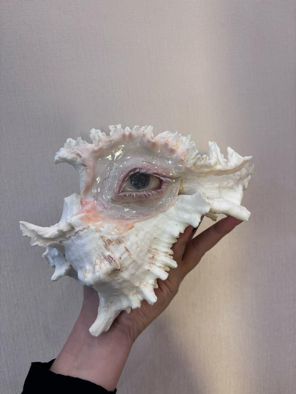 Pale shell-eye sculpture with long shell spikes shown across a hand.