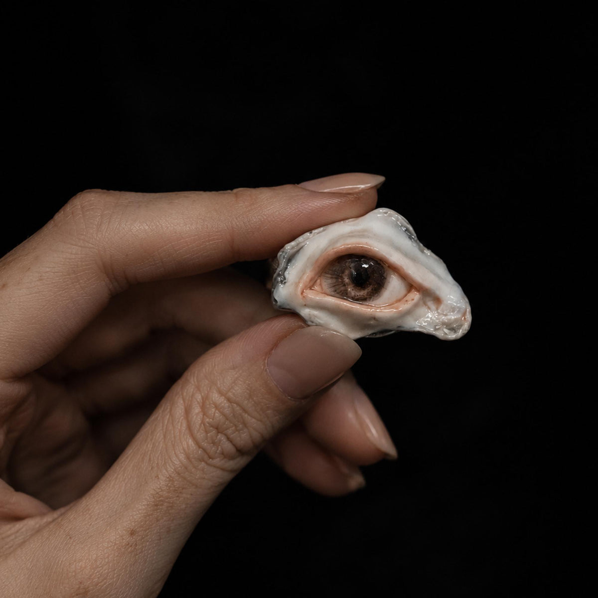 Brown-pupil oyster-eye ring held between fingers against a light wall.