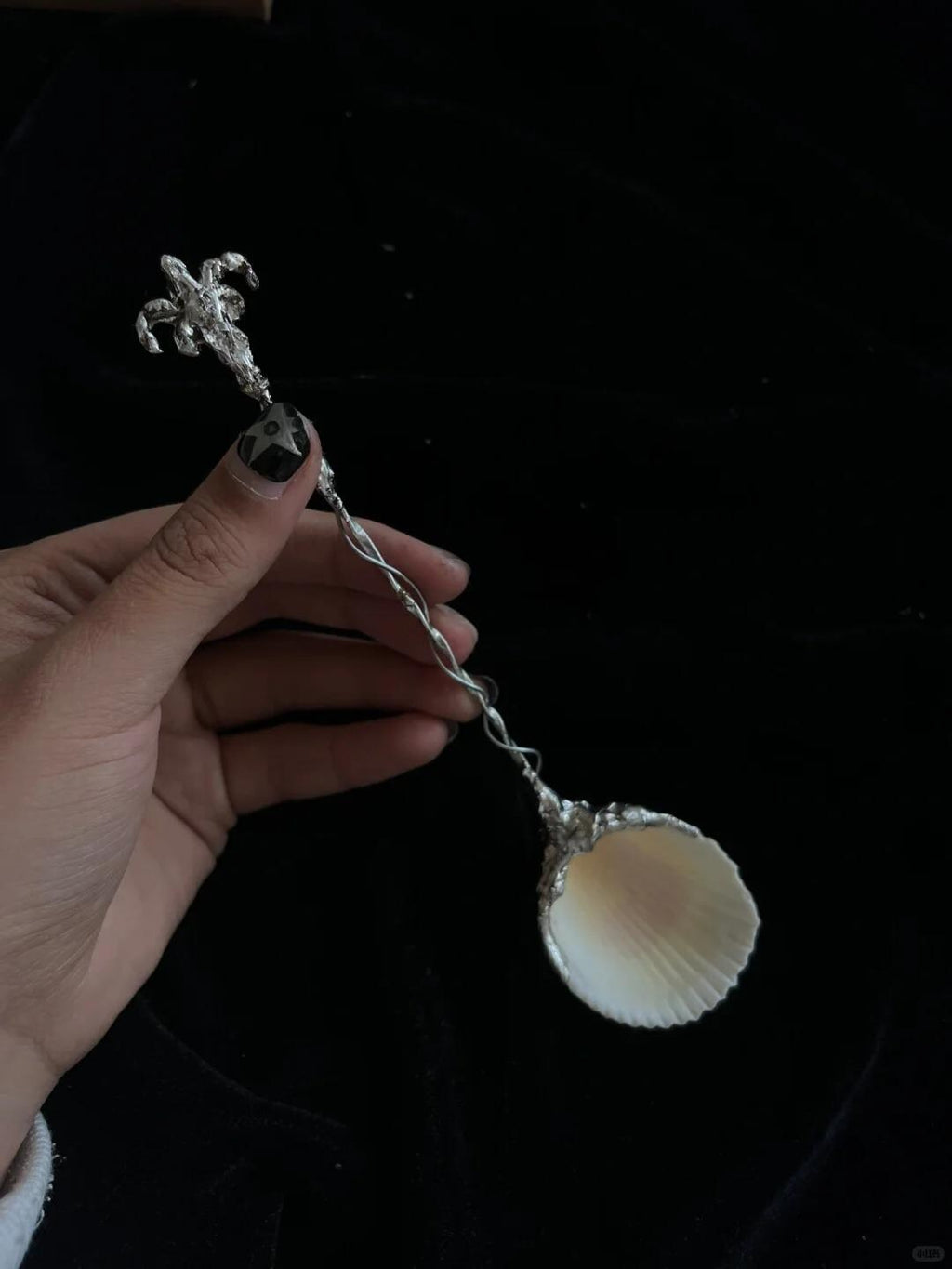 Decorative shell spoon with a round pale shell bowl, held at an angle.