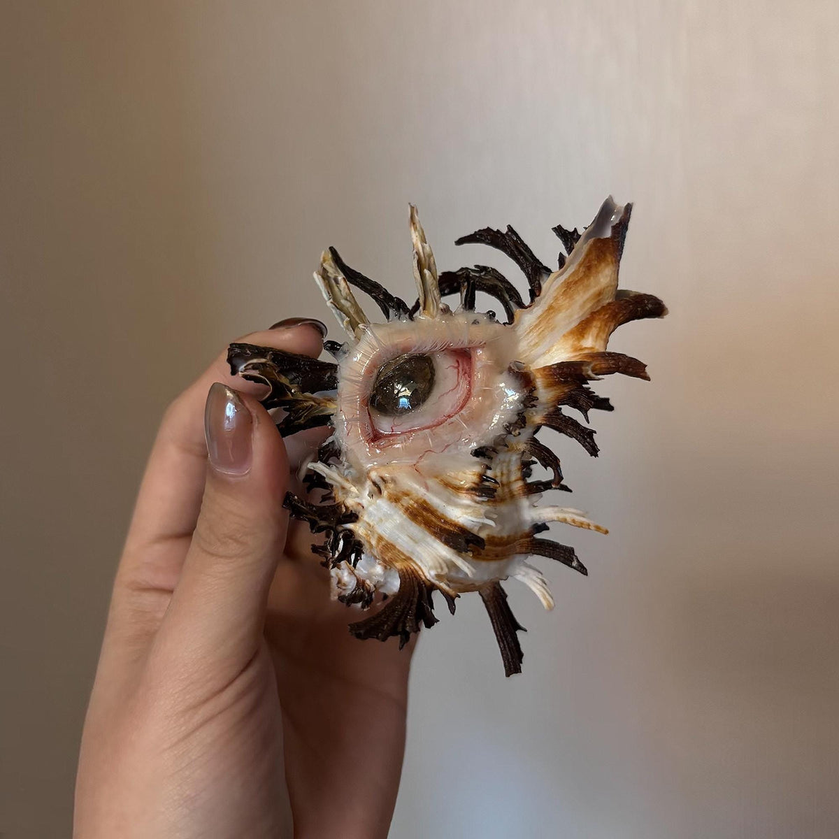 Abyss Guardians shell-eye artwork held in a hand, showing the sculpted eye and branching spikes.