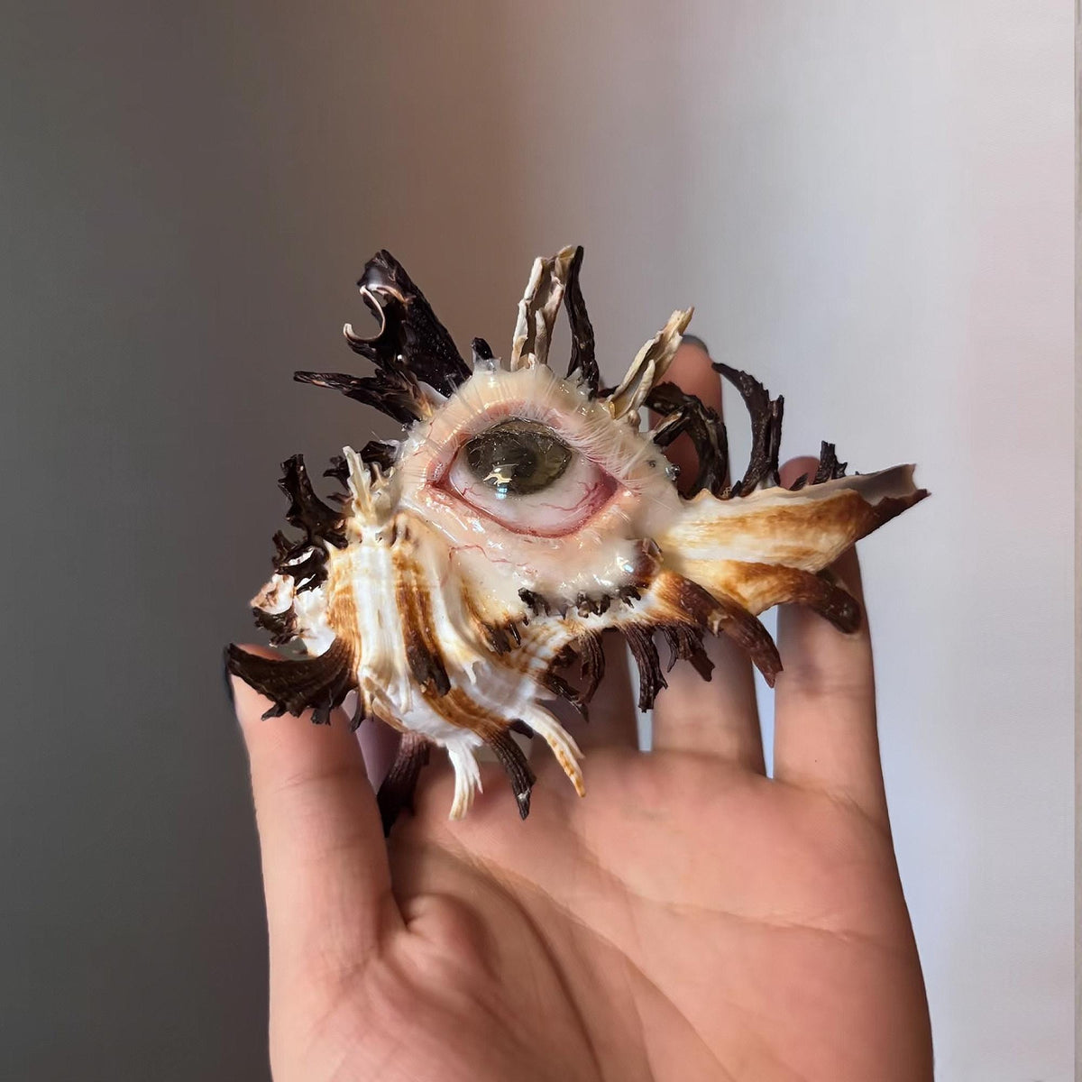 Abyss Guardians shell-eye artwork resting across a palm to show its scale.